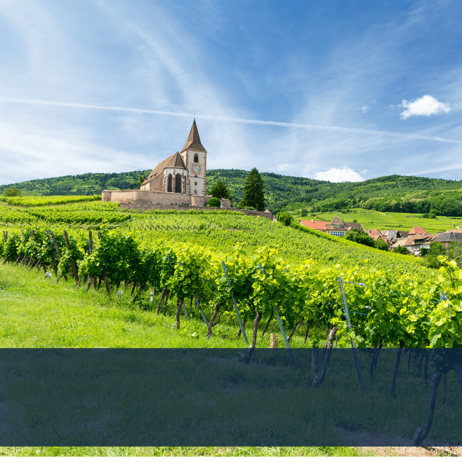 route des vins alsace hôtel Origami Strasbourg