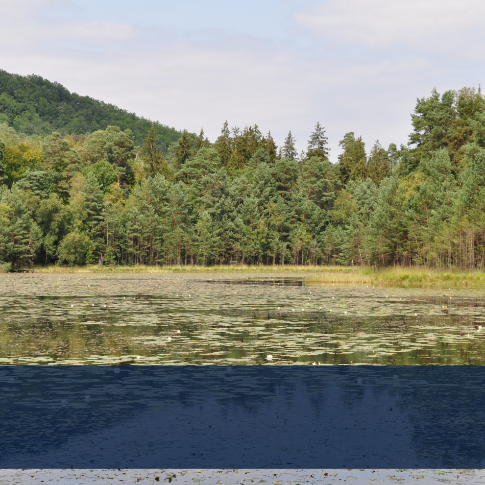 Parc Naturel Régional des Vosges du Nord 1heure Hôtel Origami Strasbourg