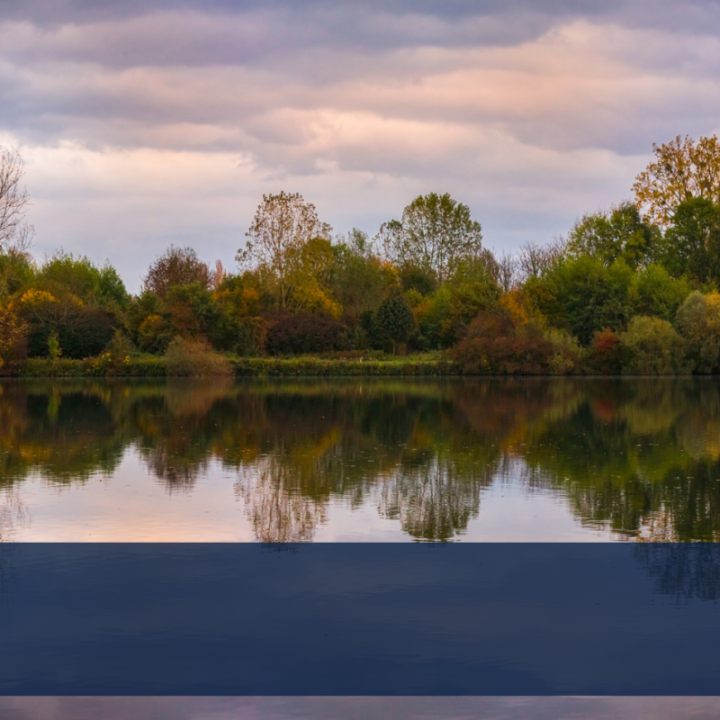 Reserves naturelles Strasbourg Hôtel Origami lifestyle
