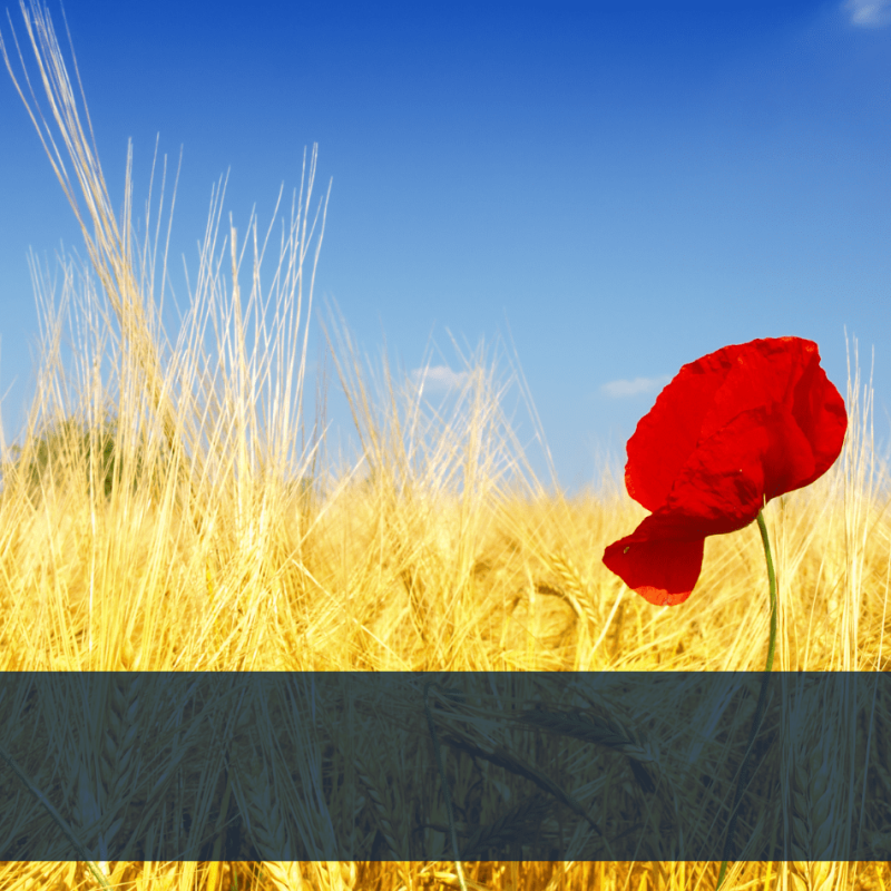 Sortie dans le Kochersberg proche de l'Hôtel Origami Strasbourg 